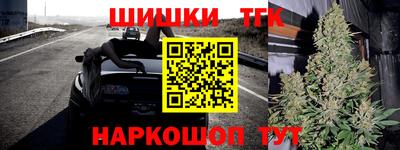 молекула духа Пугачёв