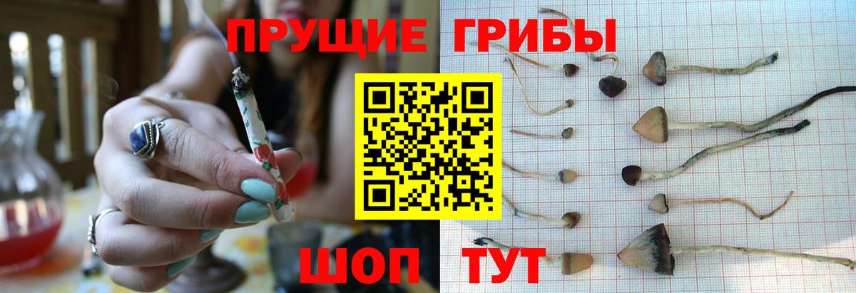 Галлюциногенные грибы Magic Shrooms Махачкала